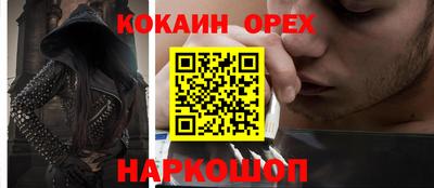 крисы Краснознаменск